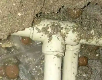 宜章测漏水多少钱