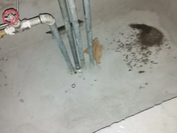 宜章卫生间测漏水价格明细