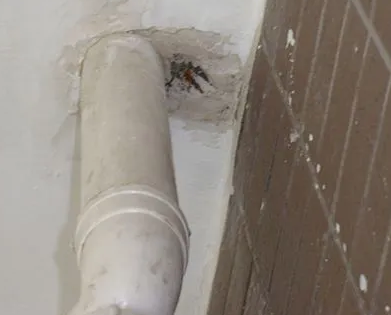 宜章漏水检测哪家好